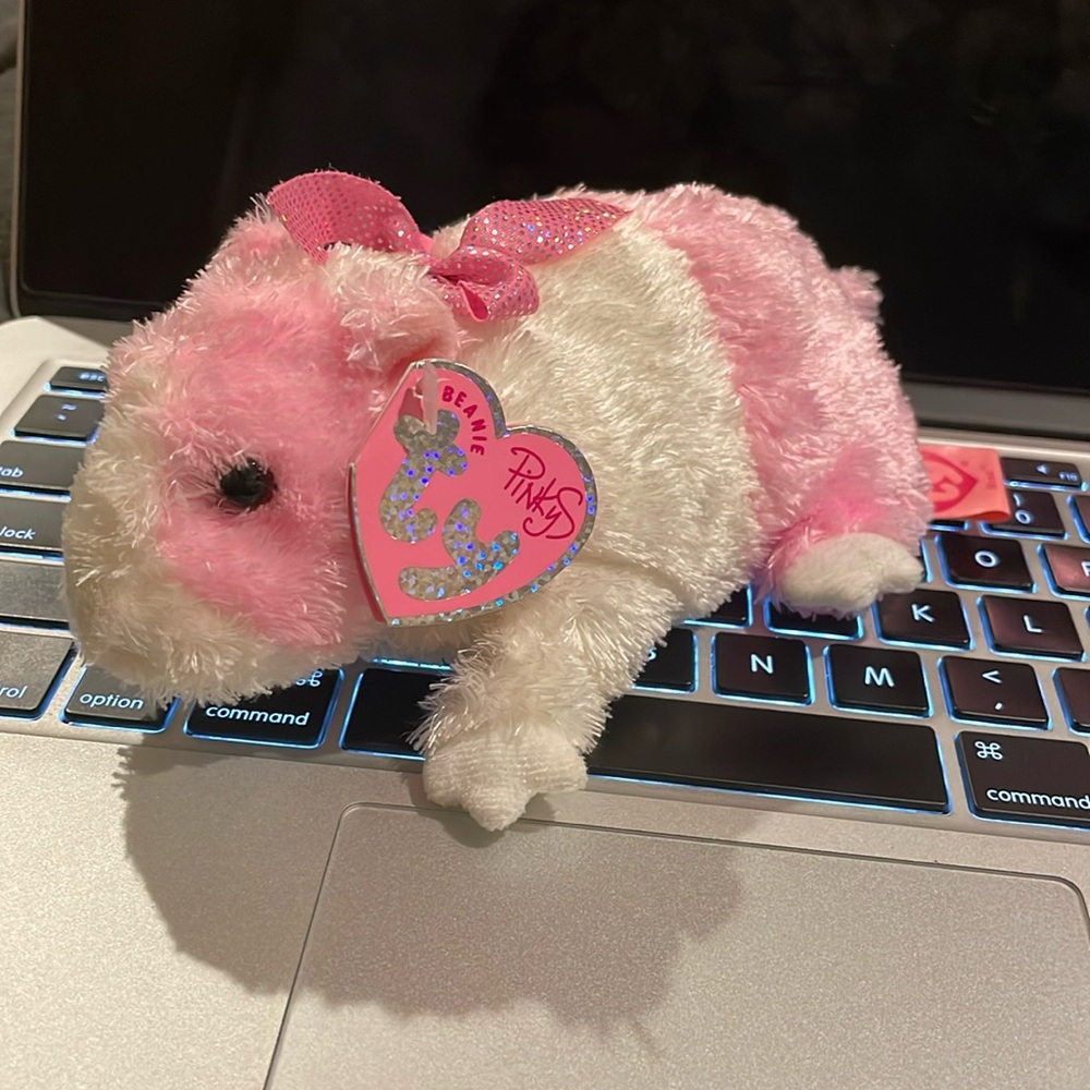 2004 Pinky’s Rosa beanie baby